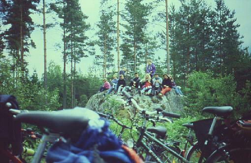 In den endlosen schwedischen Wäldern