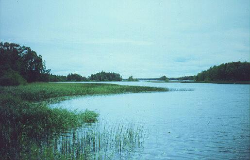 Blick über den Åsnen-See