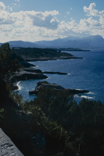 Bucht von Alcudia
